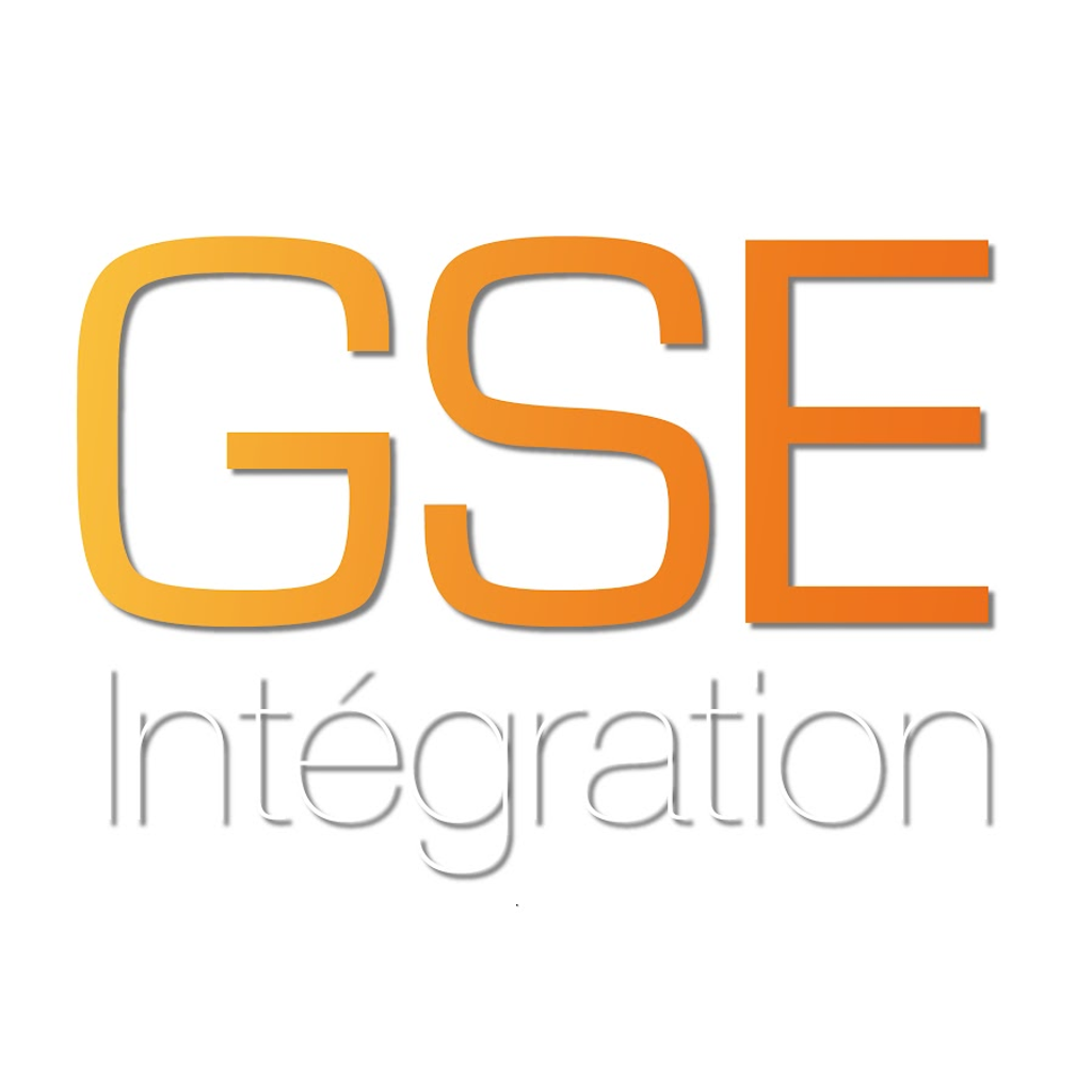 GSE In-Roof System logo