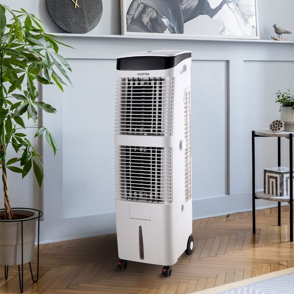 A white Rointe portable evaporative air cooler standing on castors in a living room with a plant and side table