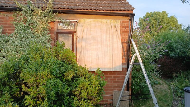 A brick house with a pale curtain hung over the outside of a window, next to a ladder and garden shrubs
