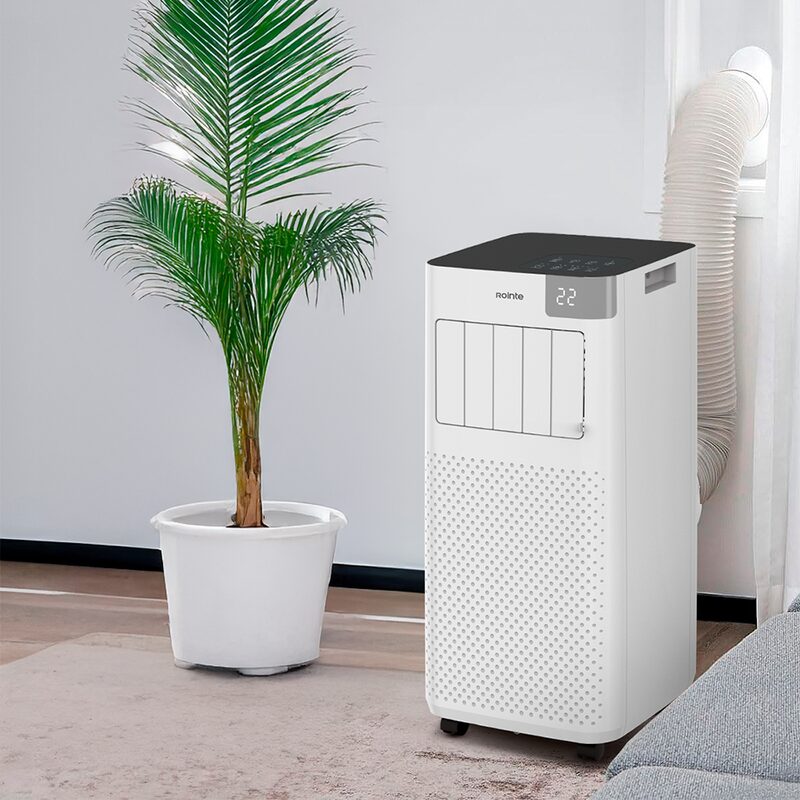 A white Rointe portable air conditioner with vent hose by a window next to a potted palm in a room