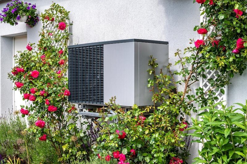 An air source heat pump unit mounted on an outside house wall surrounded by roses and climbing plants