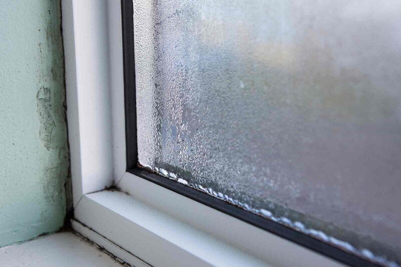 Condensation on the inside of a window with mould on the adjacent wall and window frame