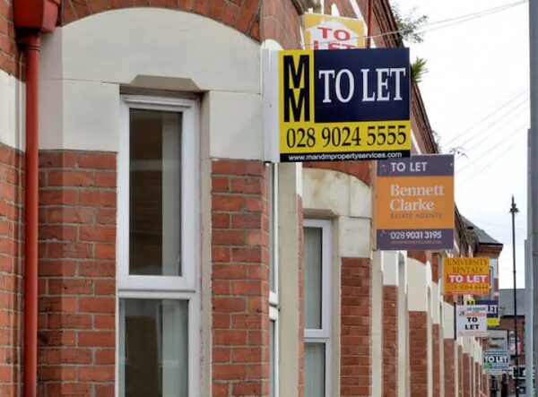 A row of red-brick terraced houses with several 'to let' signs from letting agents outside them