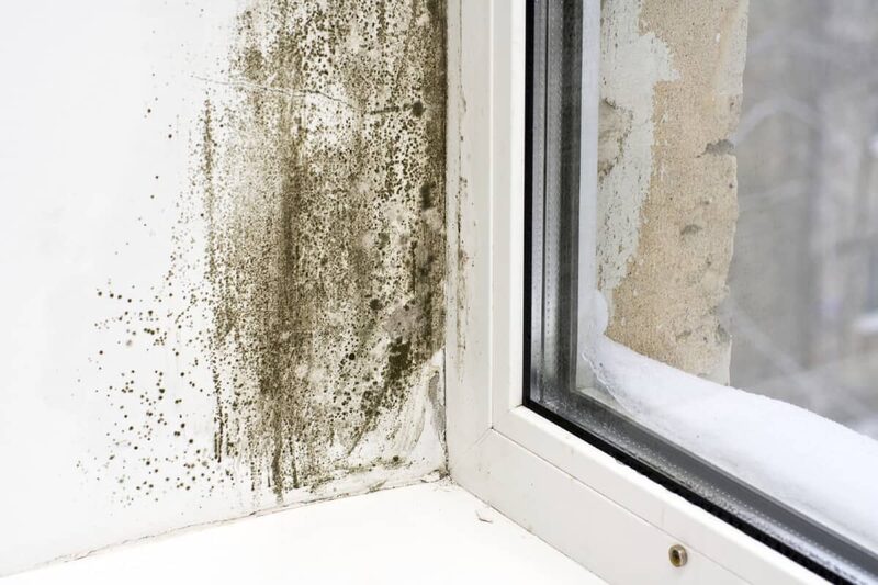 Black mould spots spreading on a white wall in the corner beside a uPVC window with condensation