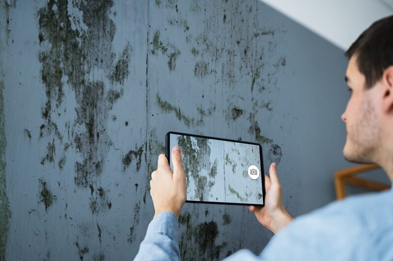 A man photographing a mould-damaged wall with a tablet