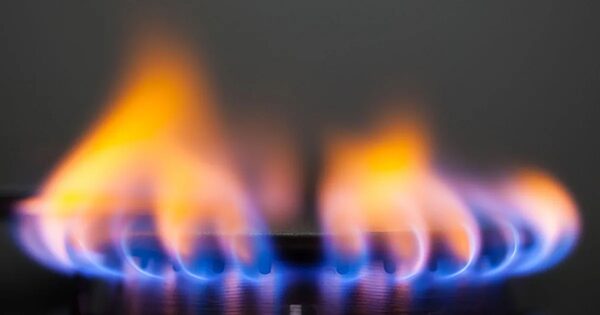A close-up of a lit gas hob burner with blue and orange flames