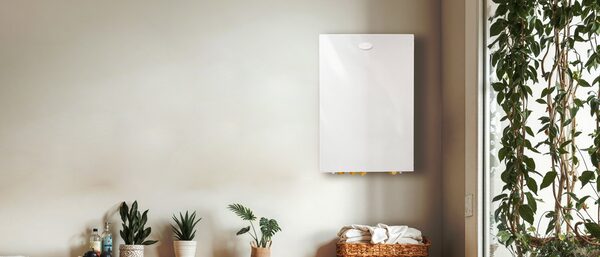 A white Grant wall-mounted boiler unit installed on a plain wall in a bright room with potted plants and a basket of towels