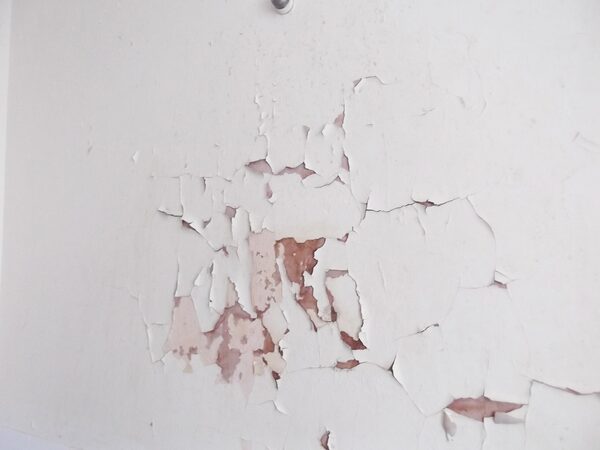A white wall with paint flaking away, revealing damp patches underneath