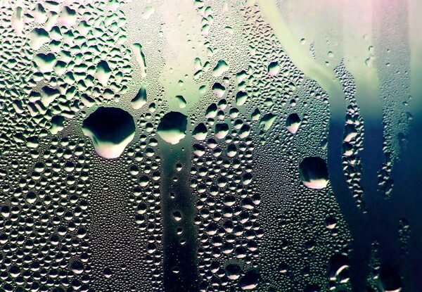 Condensation droplets covering the inside of a window pane
