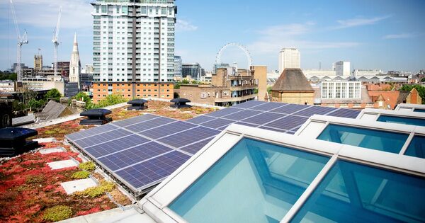 Rooftop solar panels on a green roof with skylights, overlooking the London skyline including the London Eye