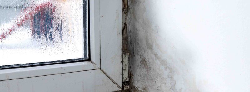 Condensation on a window frame next to a damp and mould-stained wall in a home
