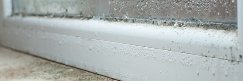 A close-up of a white window sill with condensation droplets and mould growth along the frame