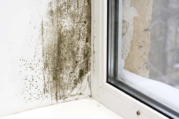 Black mould spreading on a white wall in the corner beside a uPVC window with snow outside