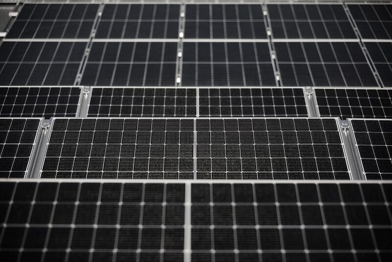 Rows of dark solar panels mounted in an array, viewed from above
