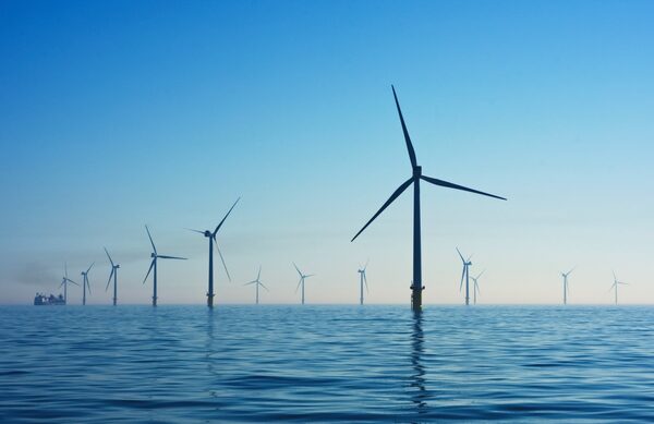 An offshore wind farm with many turbines standing in calm blue sea under a clear sky