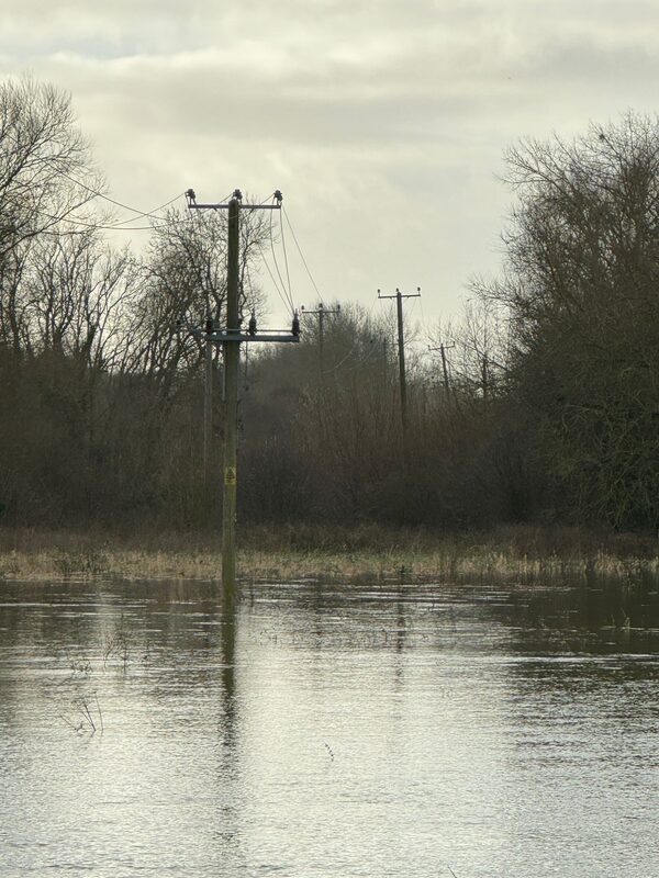 Wooden electricity poles with overhead power lines standing in a flooded field after a storm