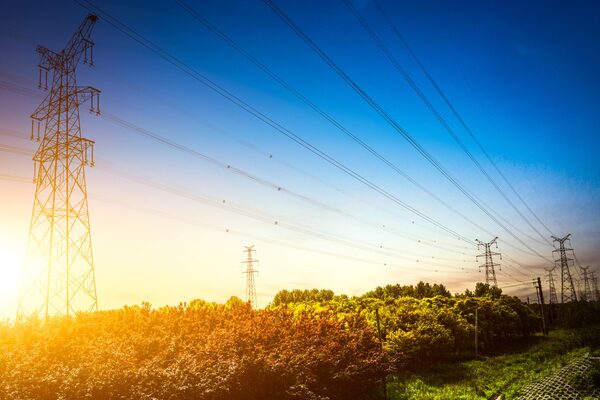 Electricity transmission pylons and power lines at sunset above trees