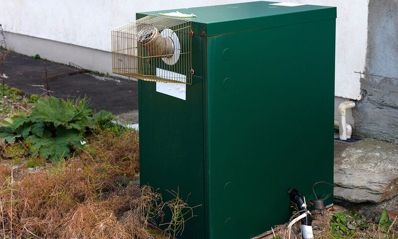 A green outdoor oil boiler cabinet installed against an exterior house wall with a caged flue terminal