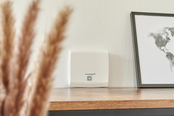 A white Homematic IP access point smart home hub sitting on a wooden shelf next to a framed world map, with blurred dried grasses in the foreground.