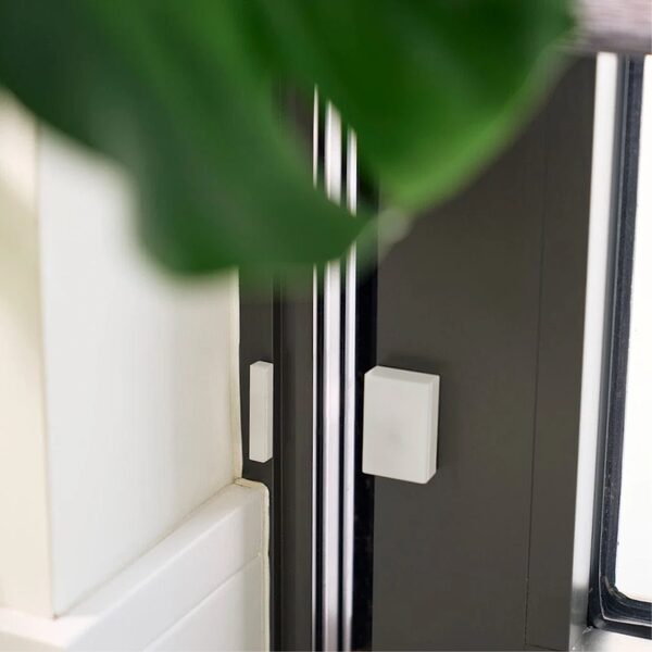 A small white Wiser door/window contact sensor fitted on a dark grey window frame, partly obscured by a houseplant leaf