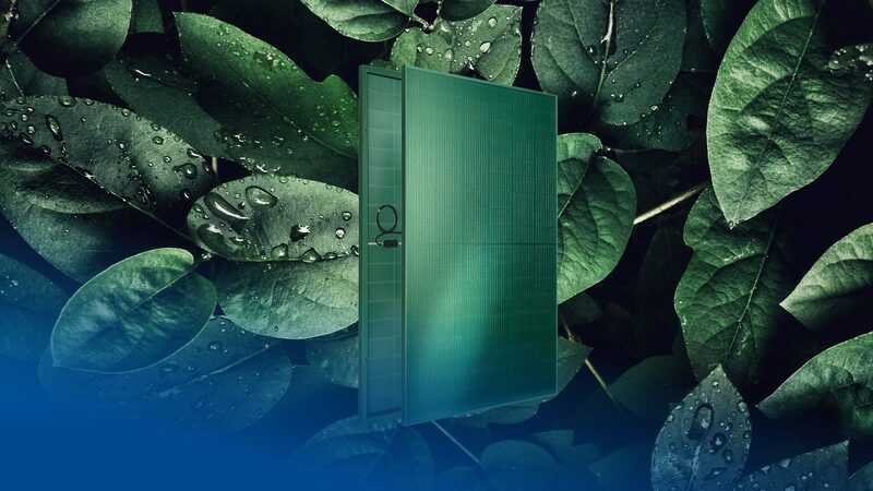 A green glass-glass bifacial solar panel (FuturaSun Silk Nova Green Duetto) displayed against a backdrop of wet green leaves