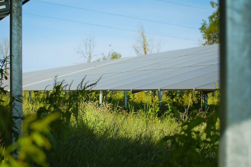 A ground-mounted solar panel array in a grassy field, framed by vegetation and metal posts