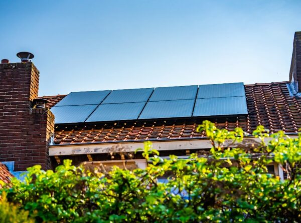 Solar panels installed on the tiled roof of a brick house, seen above green foliage