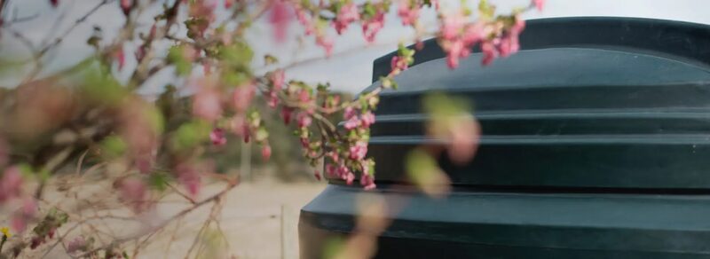 A green domestic oil tank partly obscured by out-of-focus pink blossom in the foreground