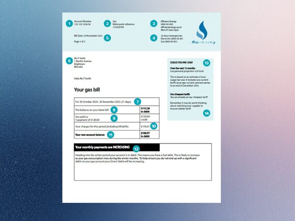 An annotated example gas bill from Efficient Energy showing account details, charges and balance with numbered callouts